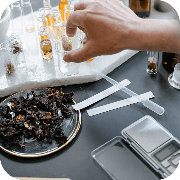 Discover the secrets of perfume language - 1